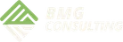 BMG Consulting