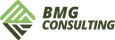 BMG Consulting